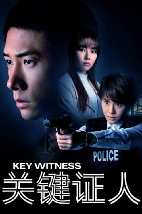 Key Witness afişi
