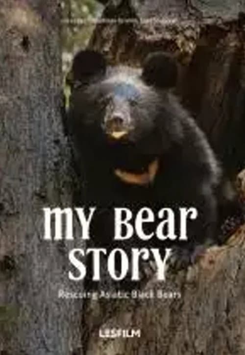 My Bear Story afişi