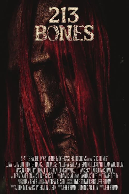 213 Bones afişi