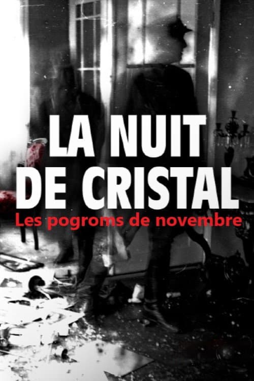 La Nuit de cristal : Les pogroms de novembre afişi