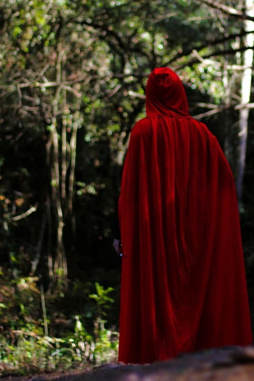 RED WARRIOR afişi