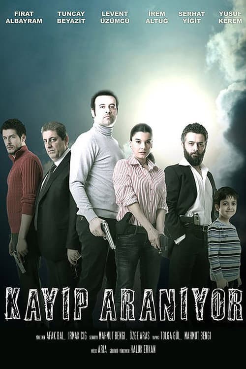 Kayıp Aranıyor afişi