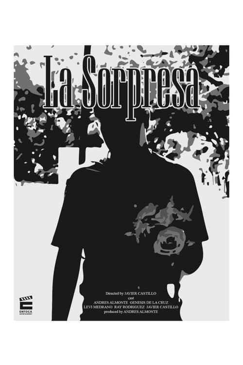 La Sorpresa afişi
