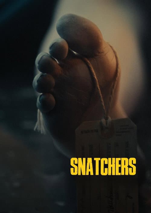 Snatchers afişi