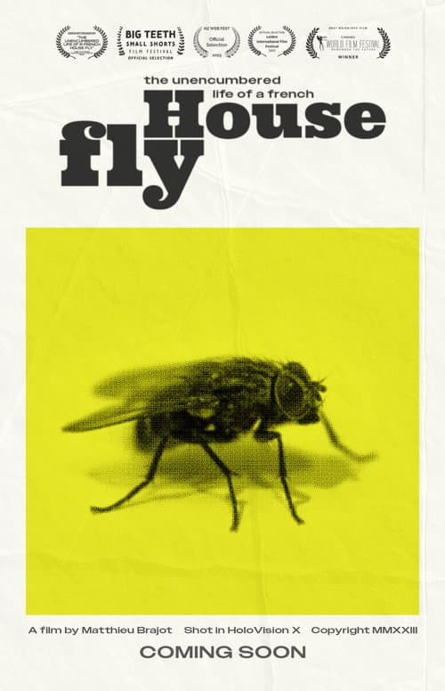 The Unencumbered Life of a French House Fly afişi