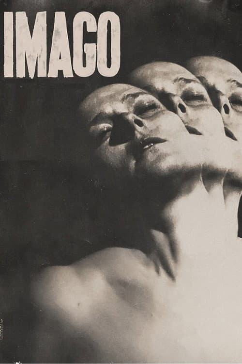 Imago afişi