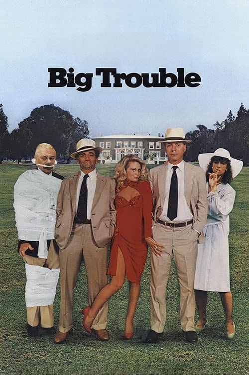 Big Trouble afişi