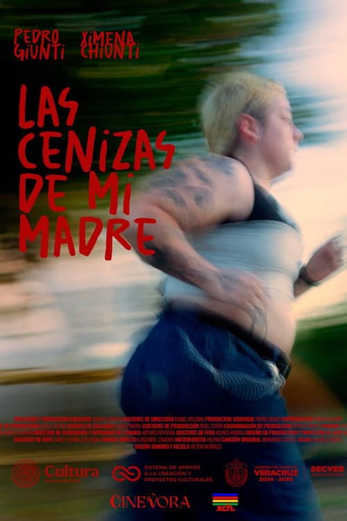 Las cenizas de mi madre afişi