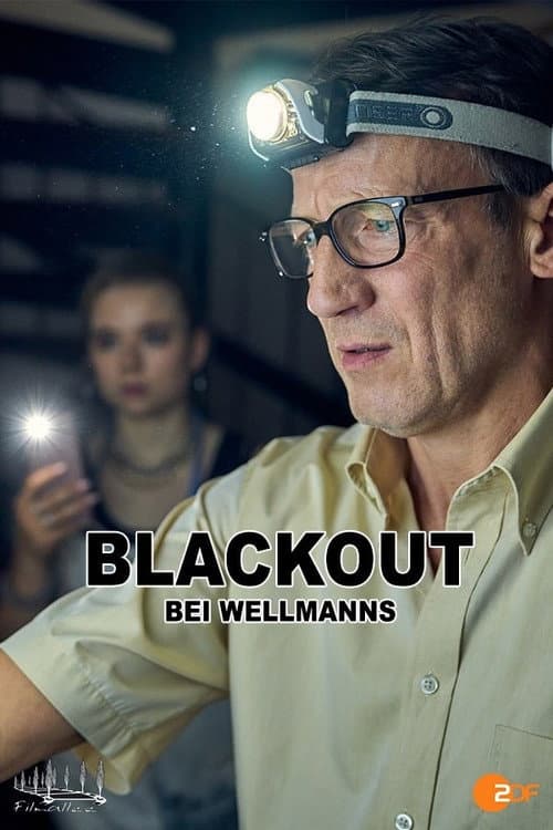 Blackout bei Wellmanns afişi
