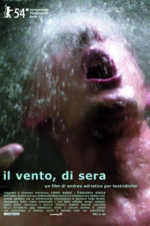 Il vento, di sera afişi