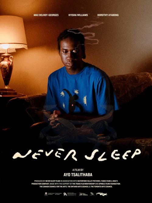 Never Sleep afişi