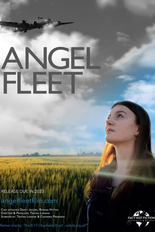 Angel Fleet afişi