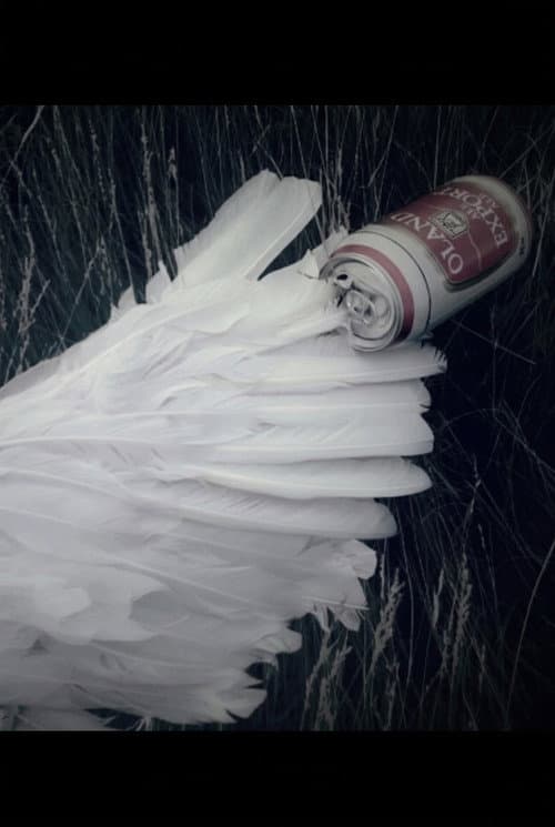 Broken Wings afişi