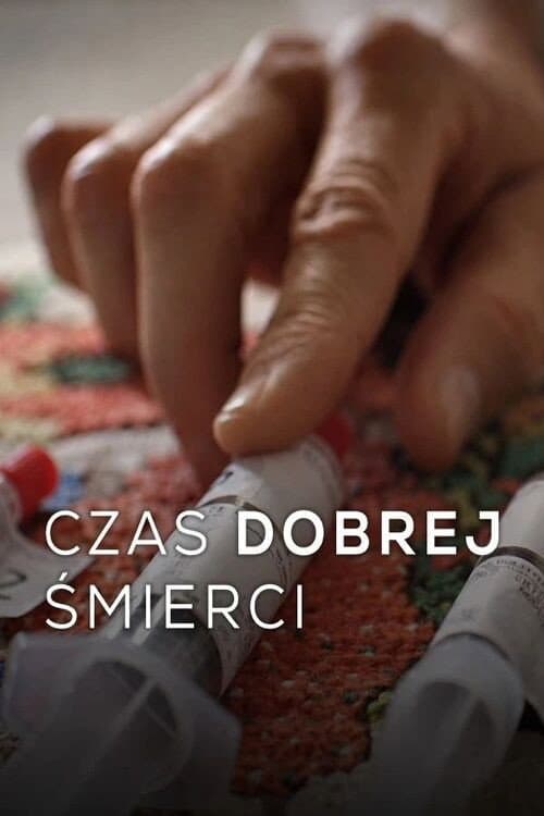 Een goede dood afişi