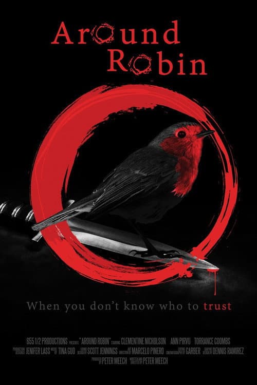 Around Robin afişi