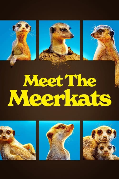 Meet The Meerkats afişi
