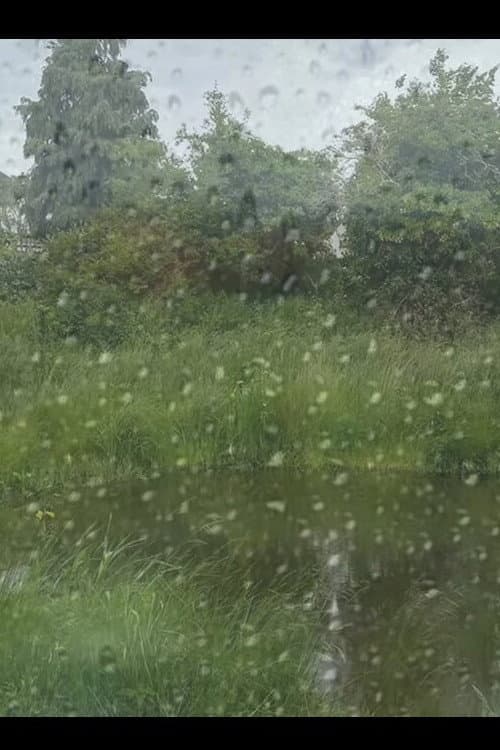 Homemade Nature Reserve afişi