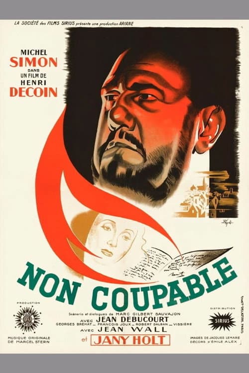 Non coupable afişi