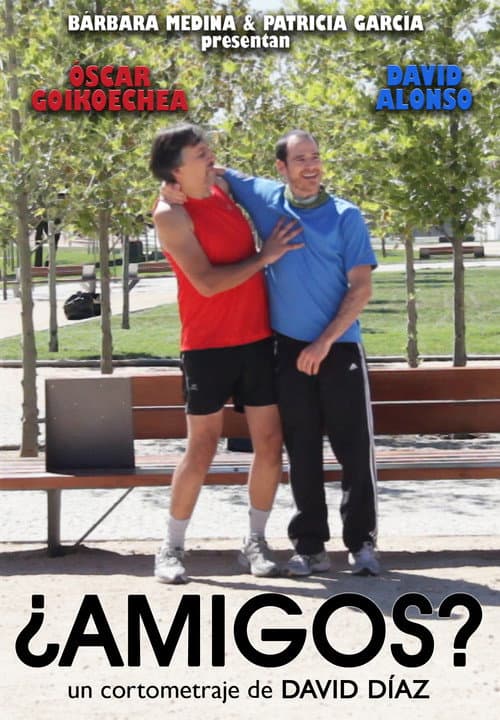 ¿Amigos? afişi