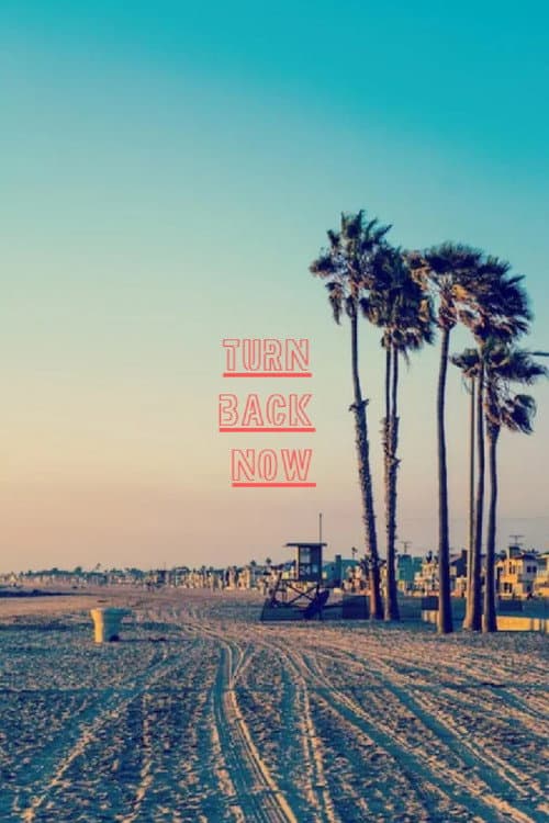 Turn Back Now afişi