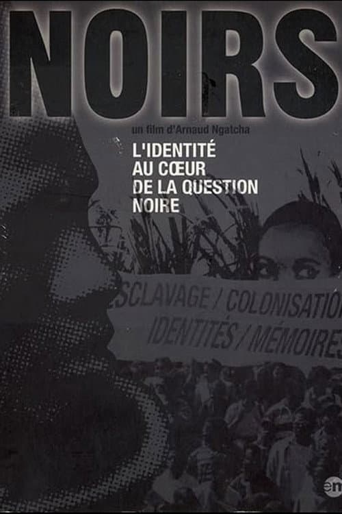 Noirs afişi