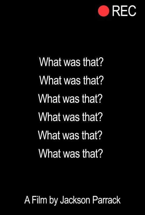 What Was That? afişi
