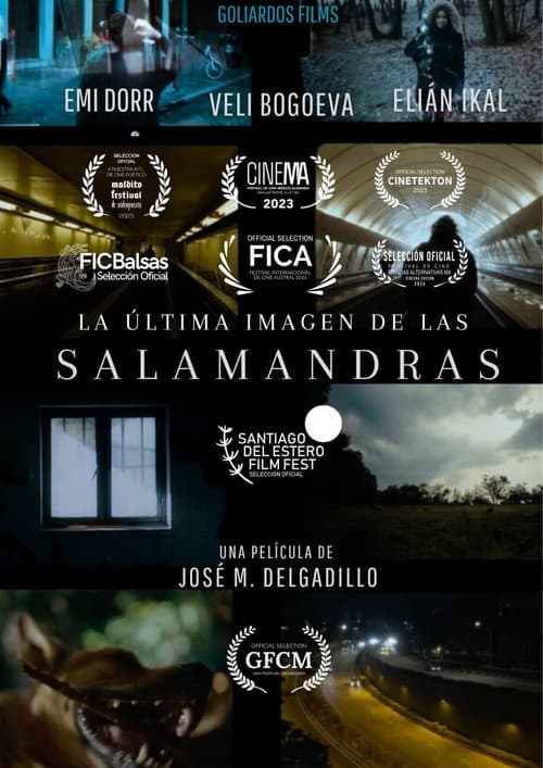 LA ÚLTIMA IMAGEN DE LAS SALAMANDRAS (Documental)