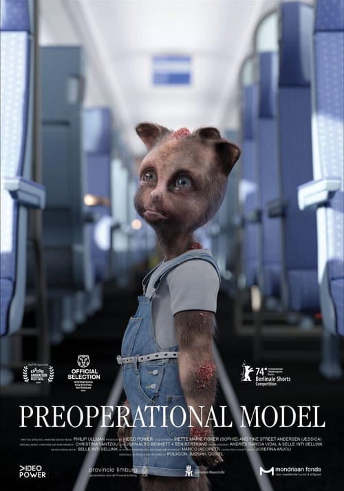 Preoperational Model afişi