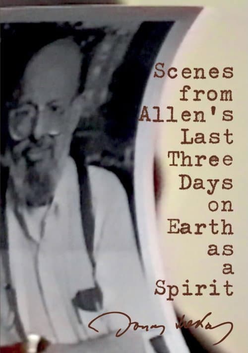 Scenes from Allen's Last Three Days on Earth as a Spirit afişi
