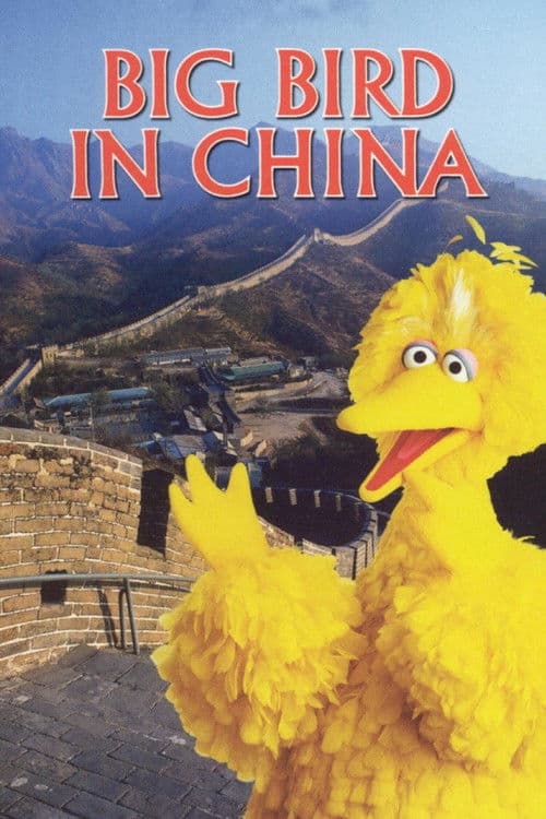 Big Bird in China afişi