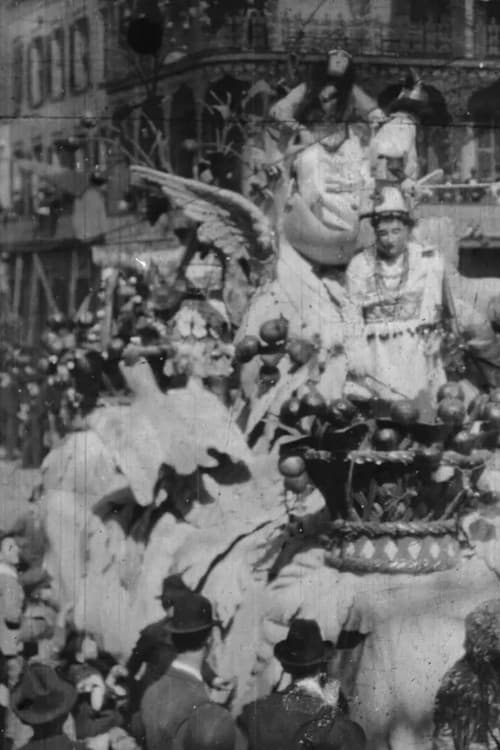 Mardi Gras Carnival afişi
