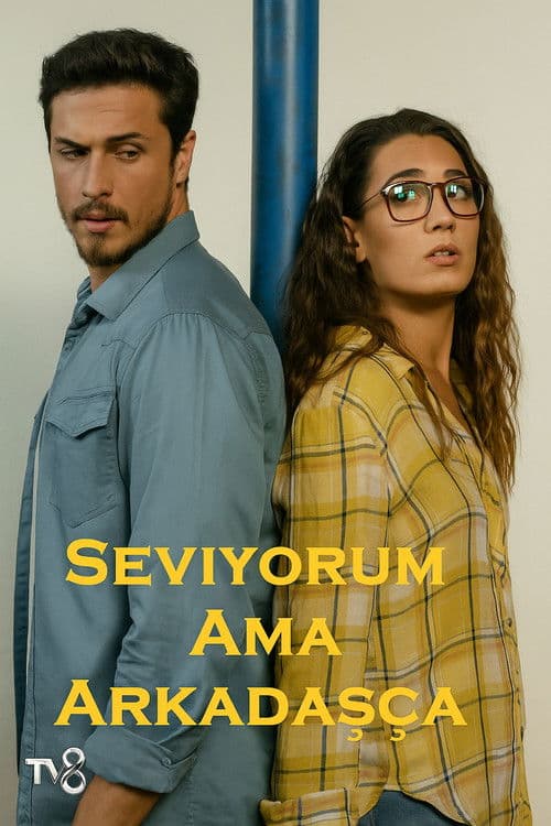 Seviyorum Ama Arkadaşça afişi