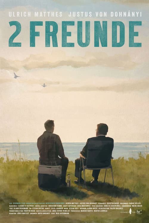 2 Freunde afişi