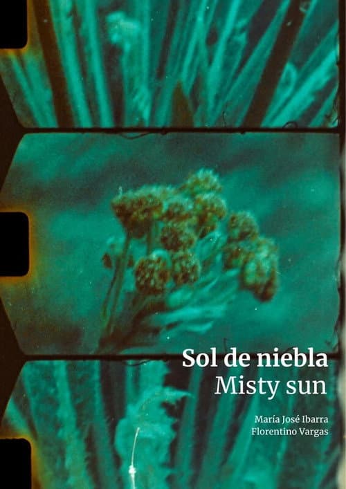 Sol de niebla afişi