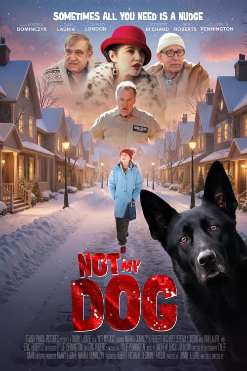 Not My Dog afişi