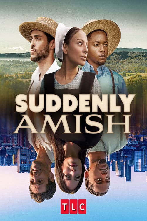 Suddenly Amish afişi