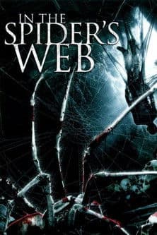 In the Spider's Web afişi