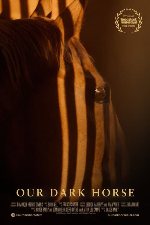 Our Dark Horse afişi