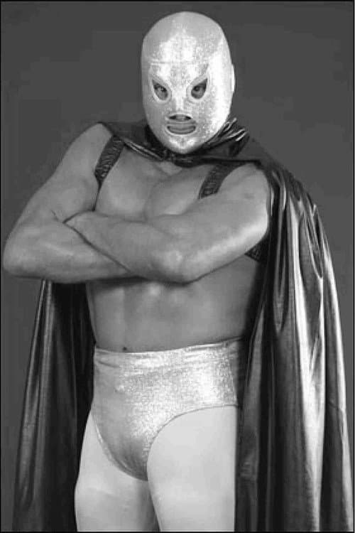 El hijo del Santo afişi