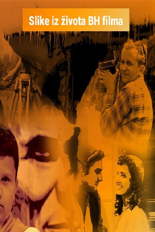 Slike iz života BH filma afişi