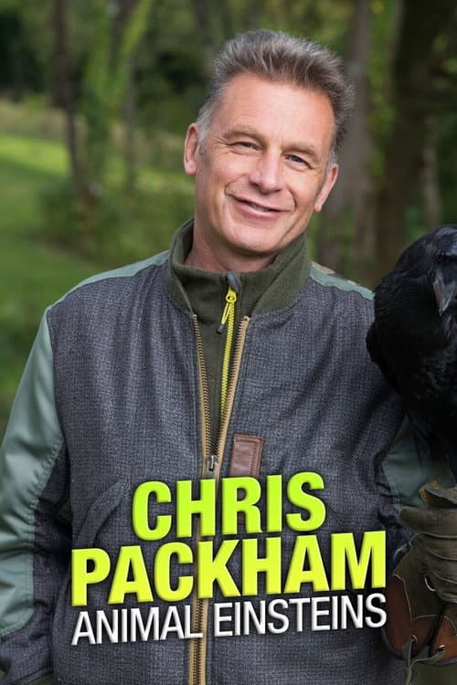 Chris Packham's Animal Einsteins afişi