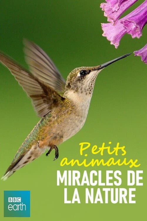 Petits animaux, miracles de la nature afişi