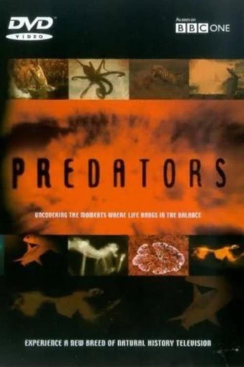 Predators afişi