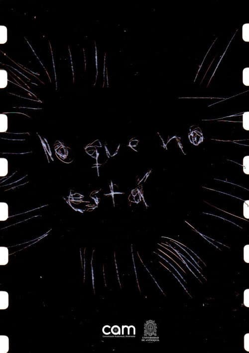 Lo que no está afişi