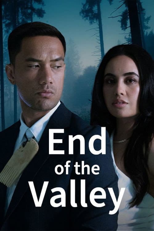 End of the Valley afişi