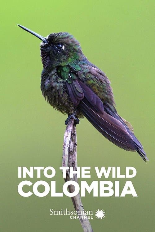 Into the Wild: Colombia afişi