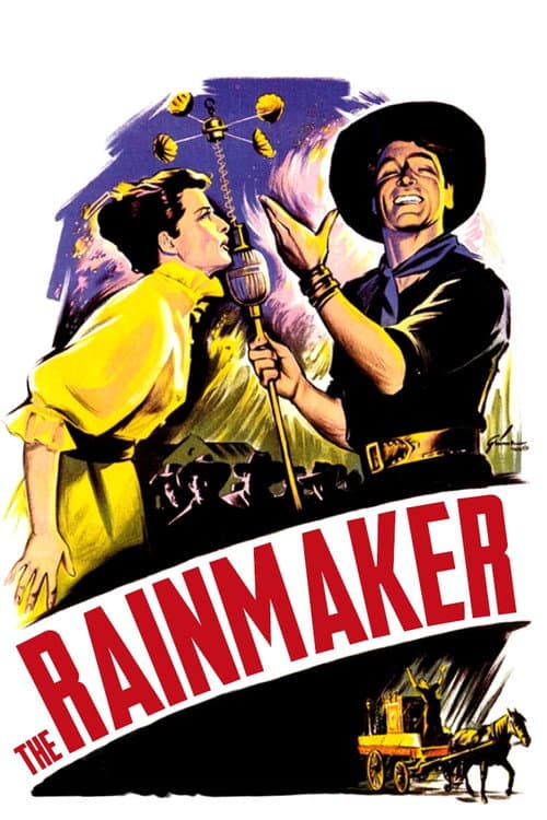 The Rainmaker afişi