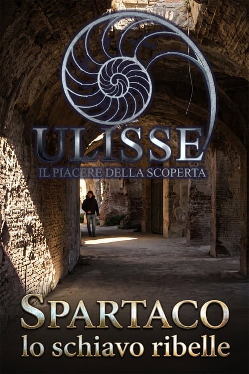 Spartaco, lo schiavo ribelle afişi
