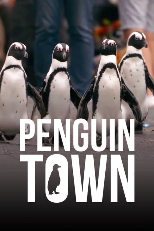 Penguen Kolonisi afişi