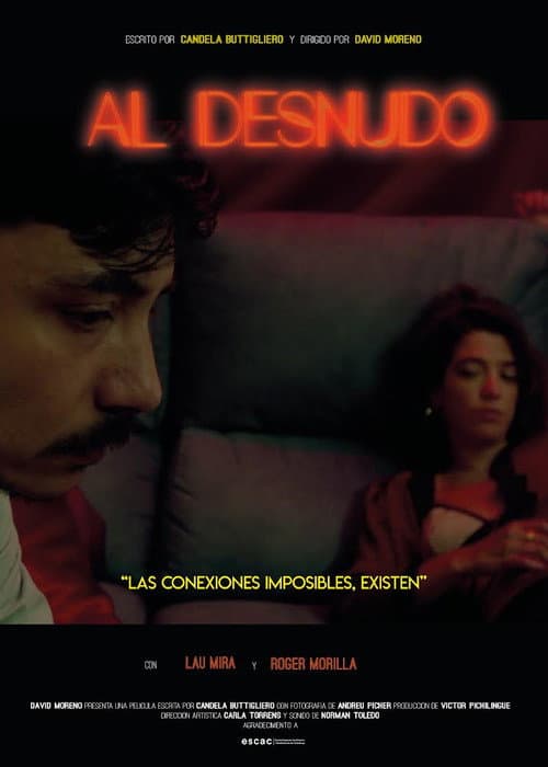 Al Desnudo afişi